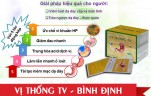 vi-thong-tv-binh-dinh