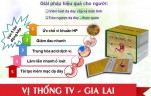vi-thong-tv-gia-lai