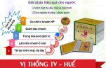 vi-thong-tv-hue