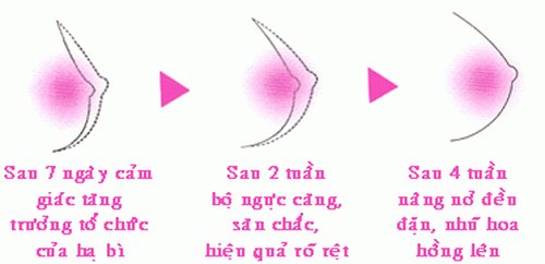 Kem Nở Ngực Bio Pro Thái Lan - 2