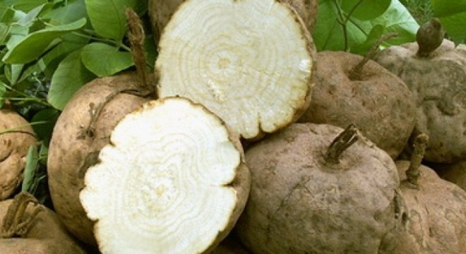 ly-do-khien-thuoc-no-nguc-pueraria-mirifica-an-toan-va-hieu-qua-2